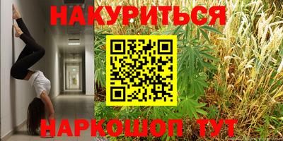 гашик Малгобек
