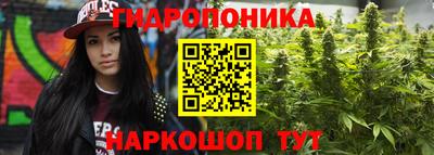 гашик Малгобек
